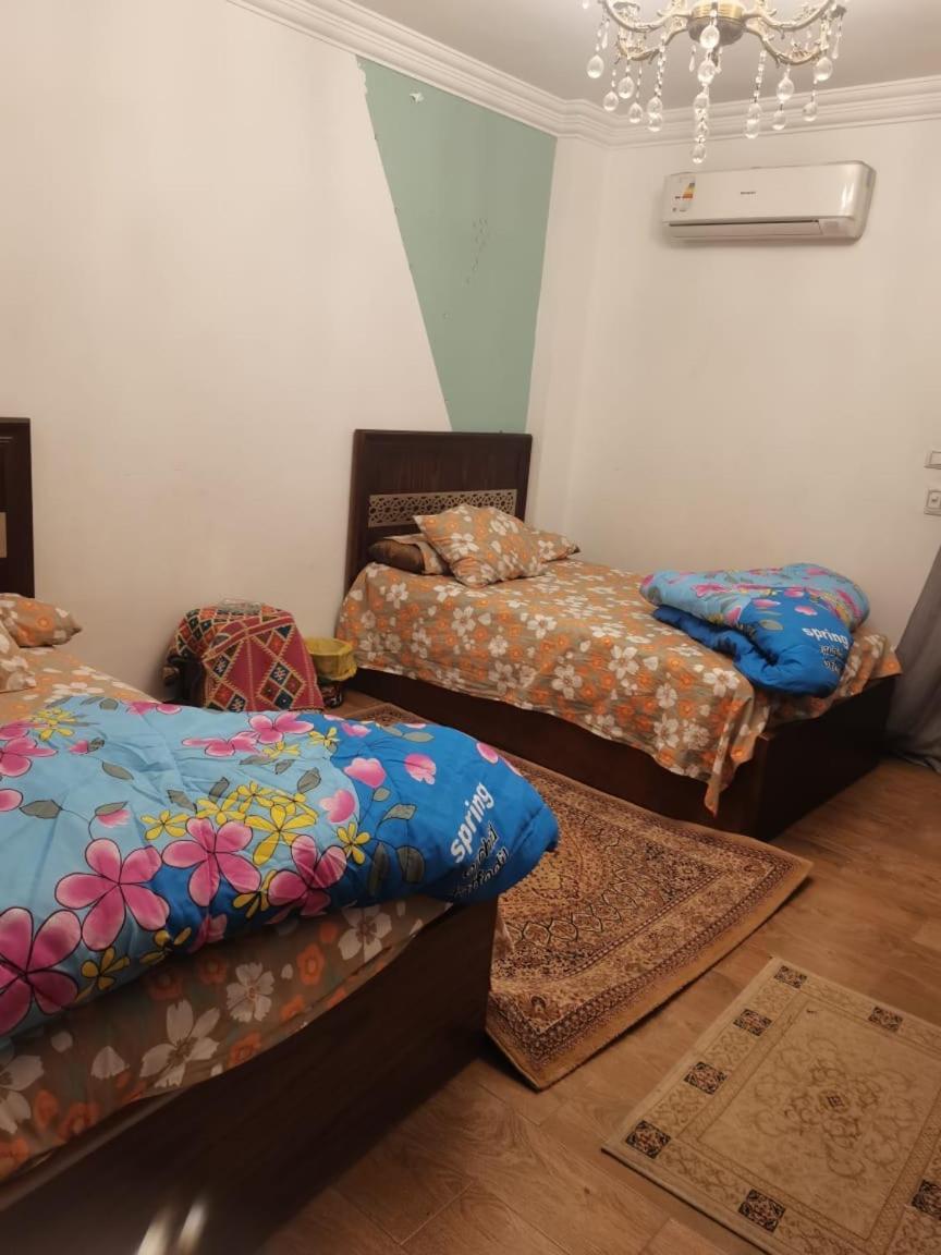 شقه Apartment