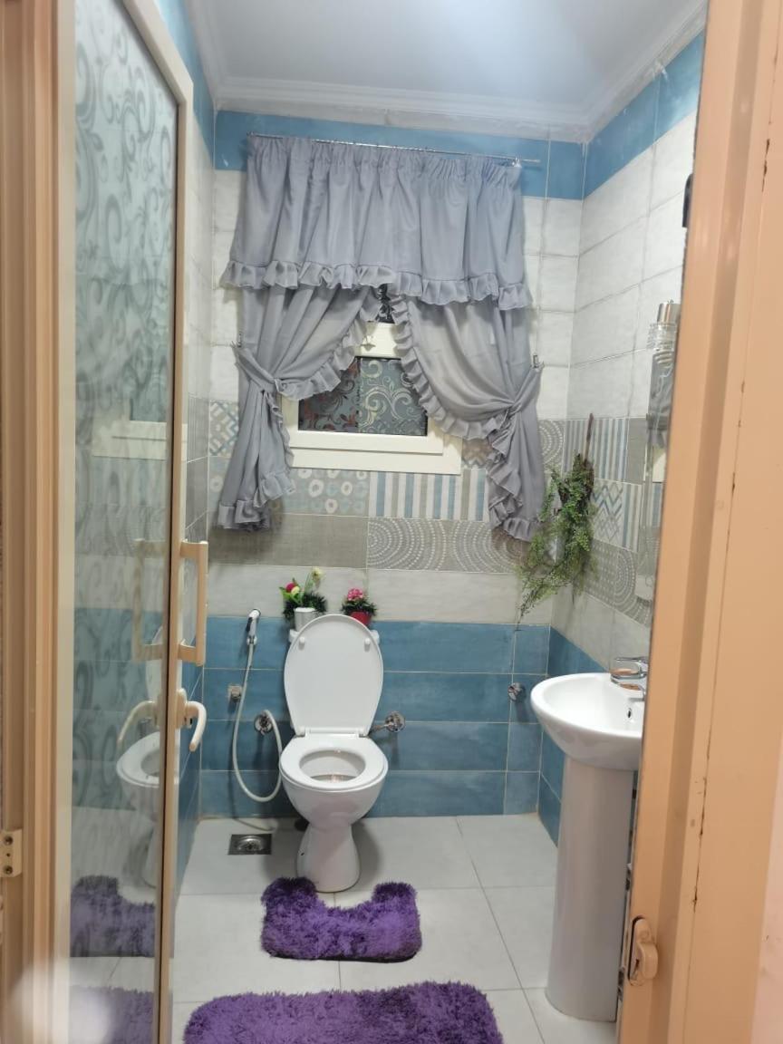 شقه Apartment Cairo